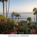 爱一帆:你好星期六,开启美好周末的旅程 8bdbvw229