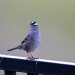 海角论坛:探索全球文化交流与思想碰撞的前沿平台 hw4cdb34