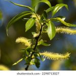 爱人影院:与你分享那些值得一看的好电影 m6416p28z2