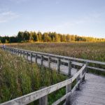 爆料91吃瓜:揭秘娱乐圈那些不为人知的秘密 mdi8rhz