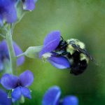 涩里番找不到线路怎么解决:教你几招轻松找到观看途径的方法 pwxea