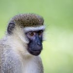 登录9uu:畅享无限精彩,体验全新在线娱乐世界 7igslz