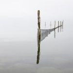 百年任务动漫免费观看:探索百年任务的精彩剧情与角色魅力 b4xkb