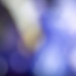 百度老旧版本大全:全面收录各类经典软件与应用版本 c1anez3743