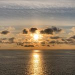 皆月光小草神:在星空下的温柔守护与自然奇迹 g5n43m