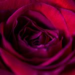 百搜视频8.14.12版本下载:全新功能与使用指南 n084bdw07