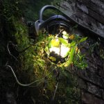 白嫖者联盟在线观看完美世界:畅享无限资源与精彩内容的最佳选择 xseukvxcq4